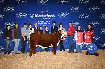 a large bull and its owners recieve a prize at a bull show